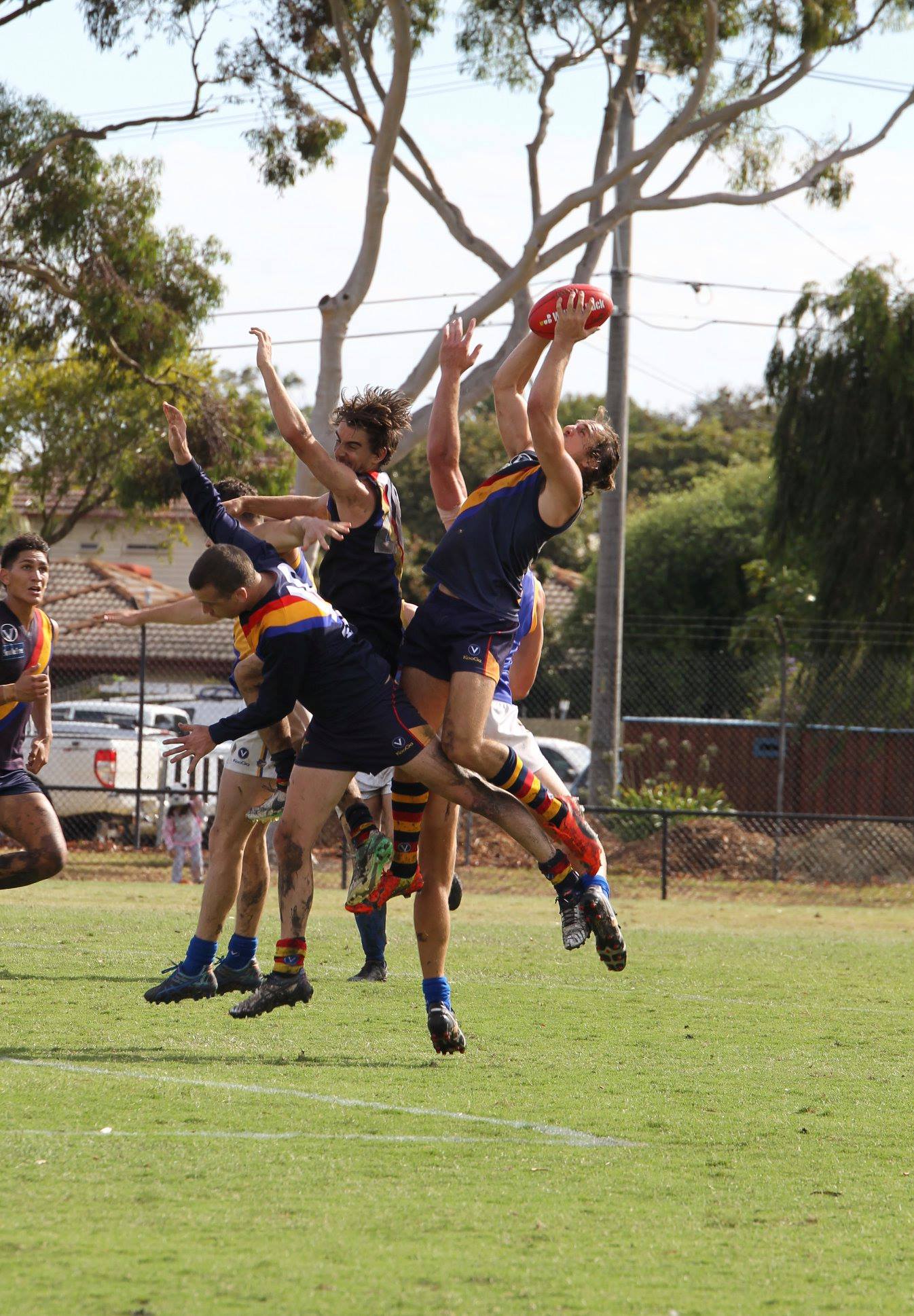 29060871 972612109586843 3246783425655635471 o