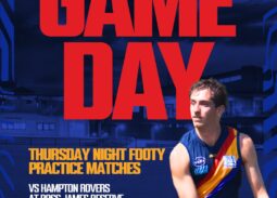 Thursday Night Footy! Our final tune ups for the season are happening tonight down the road at Boss James Reserve against Hampton Rovers. Gather round the Tigers!